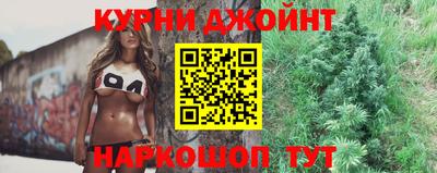 шишки Бузулук