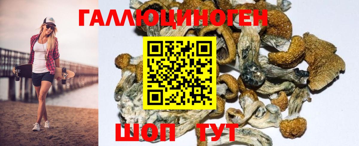 Псилоцибиновые грибы Psilocybe  Вход с VPN  Галлюциногенные грибы Psilocybe  Родники 